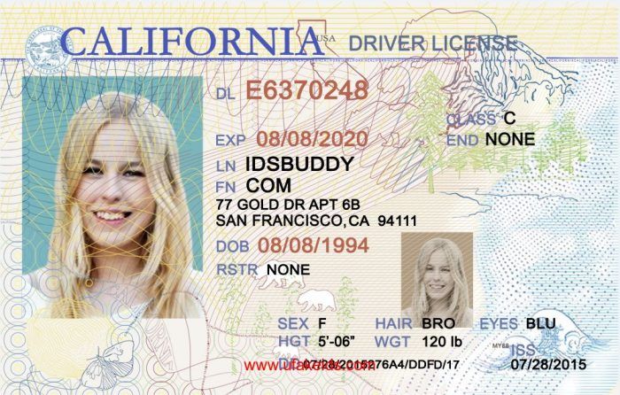 fake drivers license maker online